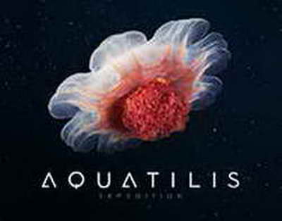 Bağlanmış bankların əmlakları satışa çıxarılır